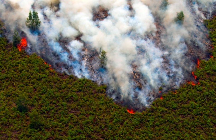 Darurat Asap: Donasi Untuk Riau dan Sekitarnya